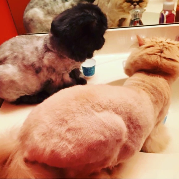 Live listing please like and share if you want to know when I’m Live - Picture 6 of 14